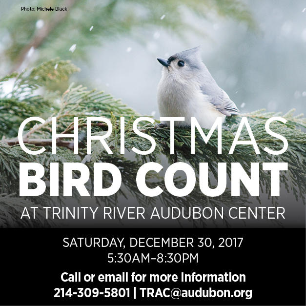 Christmas Bird Count Trinity River Audubon Center