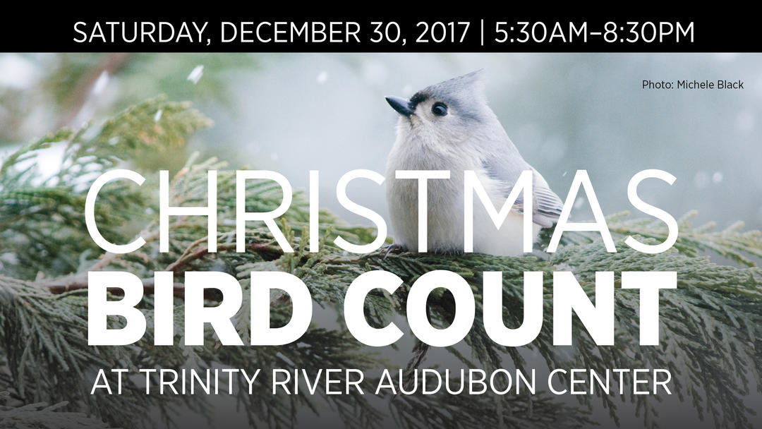2022 Christmas Bird Count Christmas Bird Count Trinity River Audubon Center