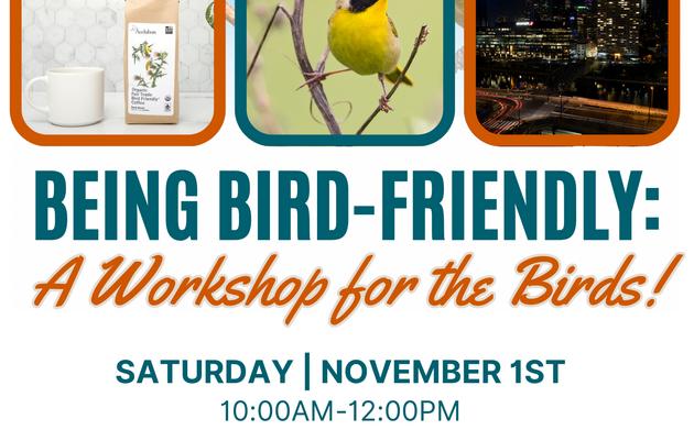Being Bird-Friendly: A Workshop for the Birds!