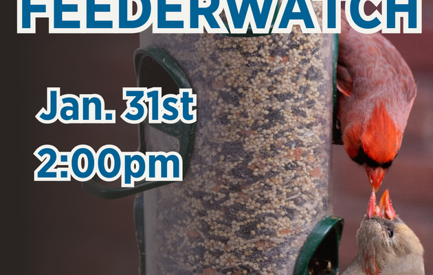Project FeederWatch!