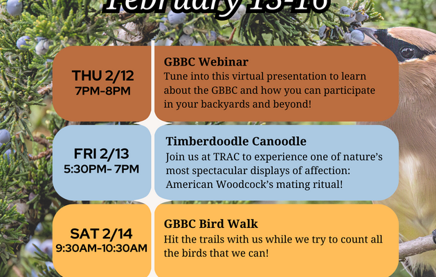 Great Backyard Bird Count Bird Walk