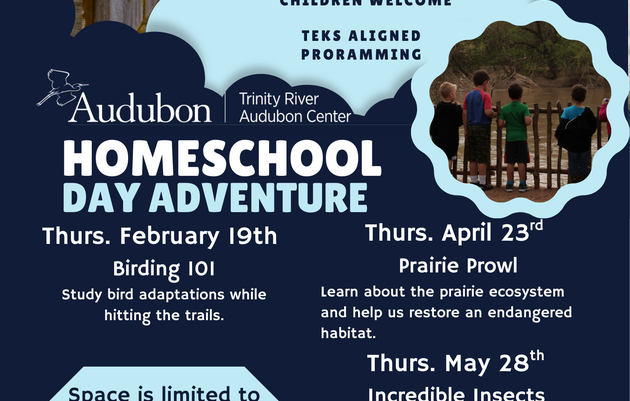 Homeschool Day - Incredible Insects