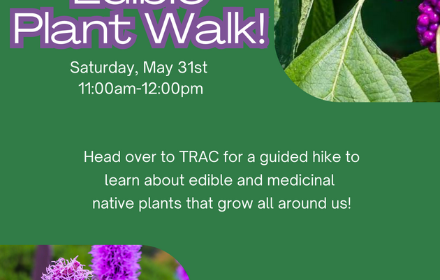 Incredible Edible Plant Walk