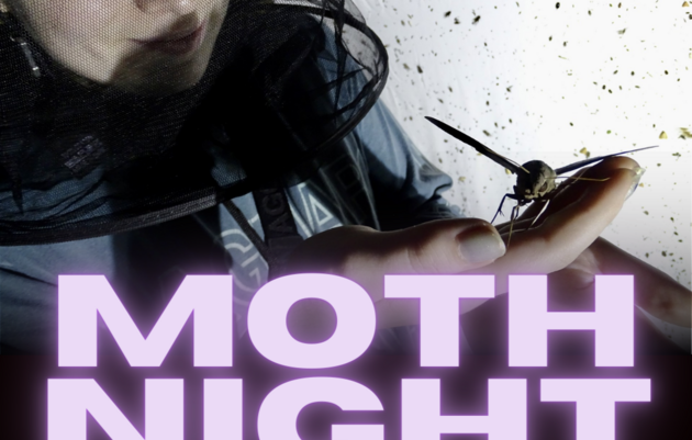 Moth Night at TRAC!