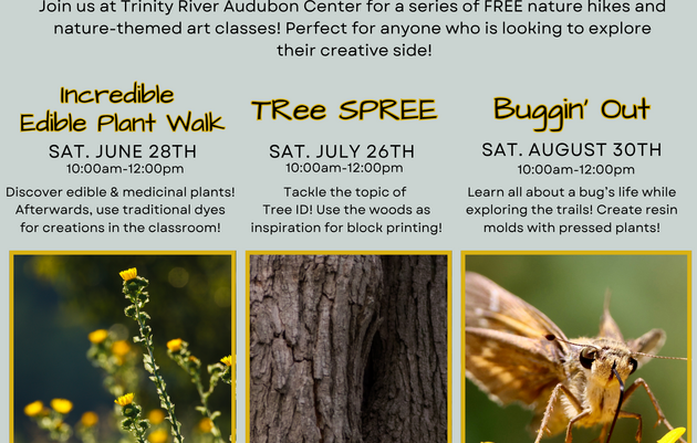 Tree Spree