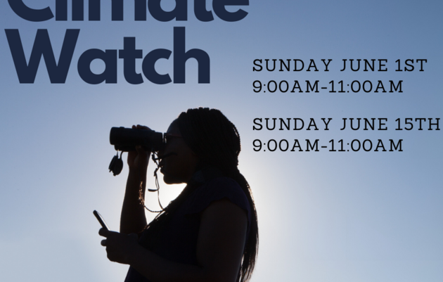 Climate Watch