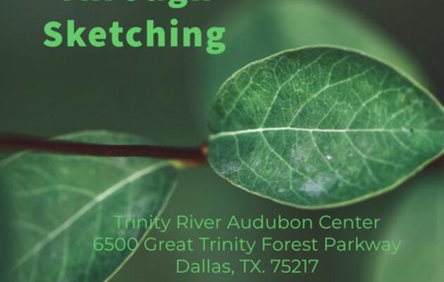 Connecting With Nature Through Sketching