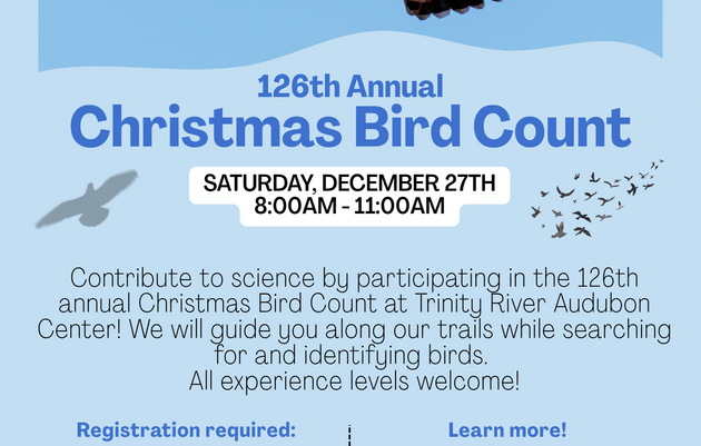 Christmas Bird Count!
