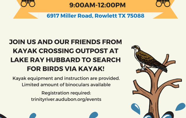Birding By Kayak
