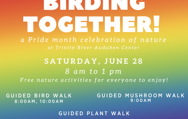 Let's Go Birding Together!