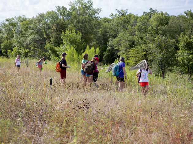 Fall Adventure Camps